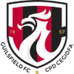 Логотип команды Guilsfield