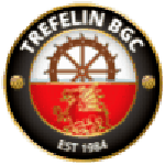 Логотип команды Трефелин