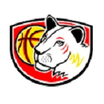 Логотип команды Hradec Kralove W