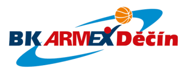 Логотип команды Decin Логотип команды Decin