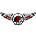 Логотип команды Falcon W Логотип команды Falcon W