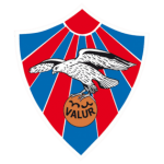Логотип команды Valur