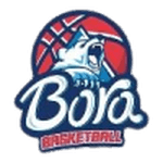 Логотип команды Bora