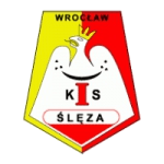 Логотип команды Sleza Wroclaw W Логотип команды Sleza Wroclaw W