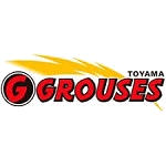 Логотип команды Toyama Логотип команды Toyama