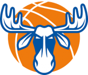 Логотип команды Ostersund W