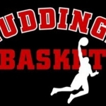 Логотип команды Huddinge W