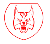 Логотип команды Lobas W