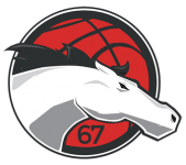 Логотип команды Leicester Riders W