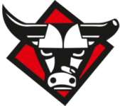 Логотип команды Gorica