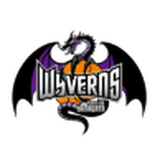 Логотип команды Yamagata Wyverns Логотип команды Yamagata Wyverns