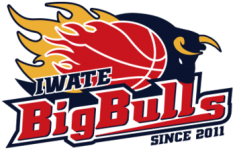Логотип команды Iwate Логотип команды Iwate