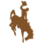 Логотип команды Wyoming Логотип команды Wyoming