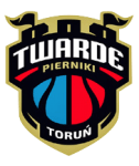 Логотип команды Torun W