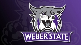 Логотип команды Weber State