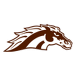 Логотип команды Western Michigan W