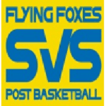 Логотип команды Vienna United W Логотип команды Vienna United W