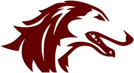 Логотип команды Southern Illinois Логотип команды Southern Illinois