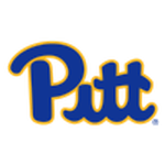 Логотип команды Pittsburgh W