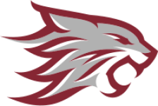 Логотип команды Chico State W