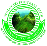 Логотип команды Вологизи