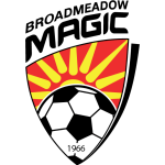 Логотип команды Бродмидоу Мэджик