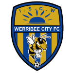 Логотип команды Уэрриби Сити