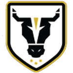 Логотип команды Буллз Академи