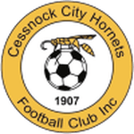 Логотип команды Сеснок Сити Хорнетс