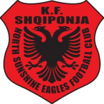 Логотип команды Норт Саншайн Иглз Логотип команды Норт Саншайн Иглз