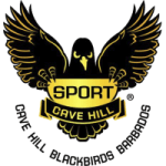 Логотип команды ЮВИ Блэкбердс