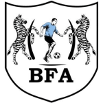 Логотип команды Блэк Лайонс