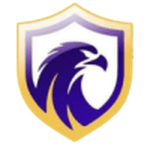 Логотип команды Фалькон U20