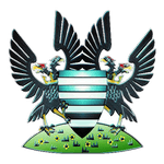 Логотип команды Солсбери