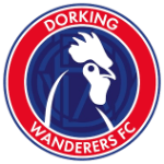 Логотип команды Доркинг Уондерерс