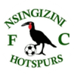 Логотип команды Нсингизини Хотспурс
