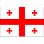 Логотип команды Георгиа В