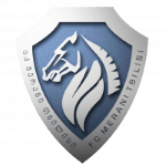 Логотип команды Мерани Тбилиси