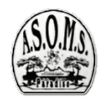 Логотип команды Парадайз