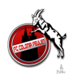 Логотип команды Фелен