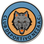 Логотип команды Неса