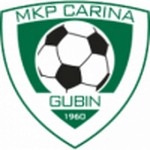 Логотип команды Царина Губин