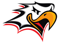 Логотип команды Ваасан Спорт U20 Логотип команды Ваасан Спорт U20