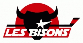 Логотип команды Нейи-Сюр-Марн Логотип команды Нейи-Сюр-Марн