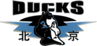 Логотип команды Beijing Логотип команды Beijing