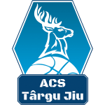 Логотип команды CSM Targu Jiu Логотип команды CSM Targu Jiu