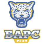 Логотип команды Bars Rostov Логотип команды Bars Rostov