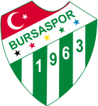 Логотип команды Bursaspor Логотип команды Bursaspor