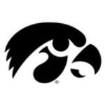 Логотип команды Iowa Hawkeyes W Логотип команды Iowa Hawkeyes W