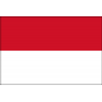 Логотип команды Indonesia W Логотип команды Indonesia W